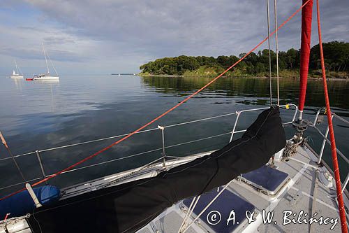 Aebelo, kotwicowisko przy wyspie, Kattegat, Safran na kotwicowisku, Dania