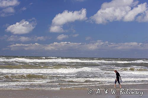 na plaży na wyspie Vlieland, Wyspy Fryzyjskie, Holandia, Waddensee, Morze Wattowe