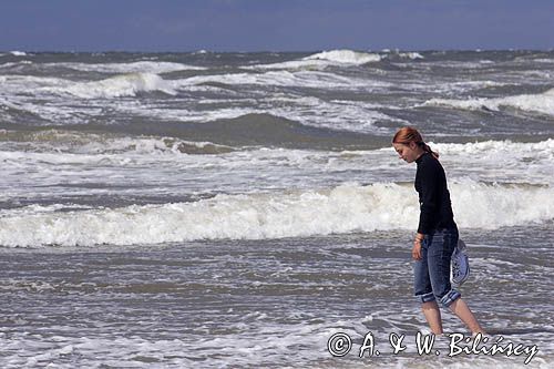 na plaży na wyspie Vlieland, Wyspy Fryzyjskie, Holandia, Waddensee, Morze Wattowe