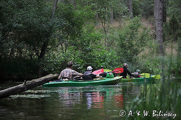 Rzeka Babięcka Struga, Mazury, spływ kajakowy