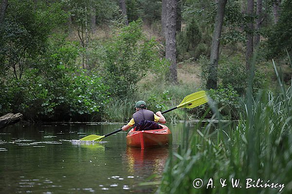 Rzeka Babięcka Struga, Mazury, spływ kajakowy