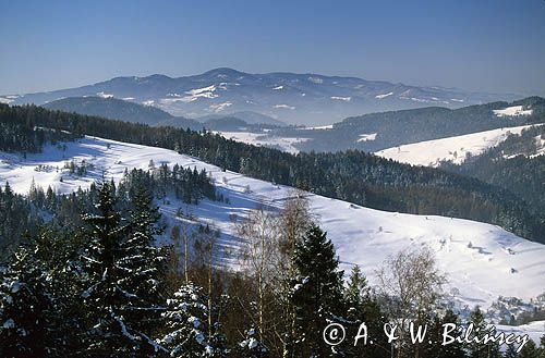 Beskid Sądecki, zima, widok znad Wierchomli Małej