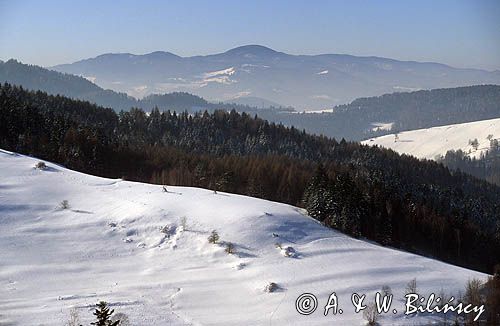 Beskid Sądecki, zima, widok znad Wierchomli Małej