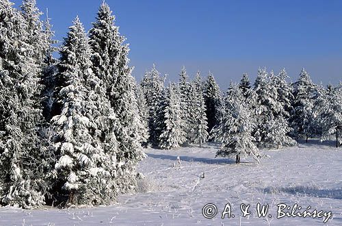 Beskid Sądecki, zima