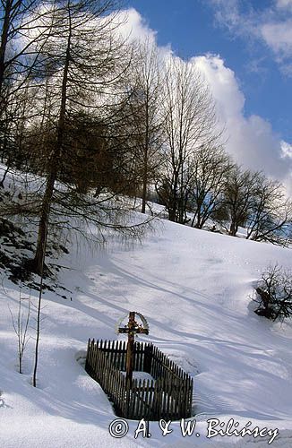 Beskid Sądecki, zima, Wierchomla