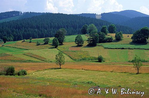 Beskid Zywiecki