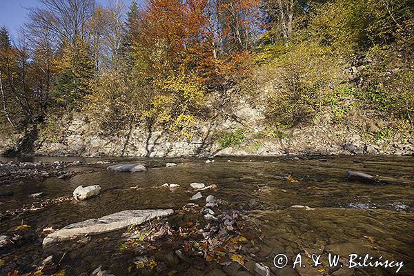 Potok Wołosaty, Bieszczady