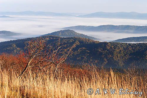 Na Bukowym Berdzie, Bieszczady