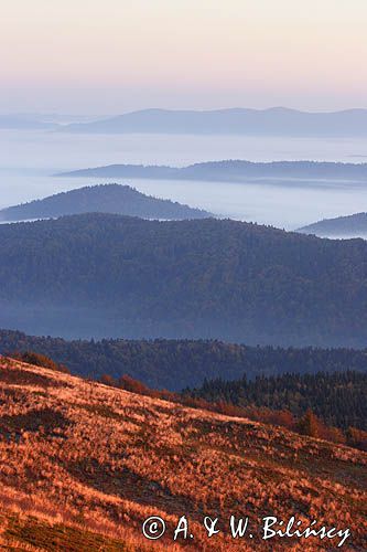 Na Bukowym Berdzie, Bieszczady