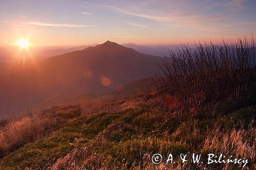 na Połoninie Wetlińskiej, Caryńska w tle, Bieszczady