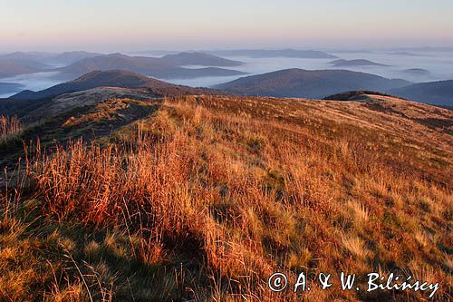 Na Bukowym Berdzie, Bieszczady