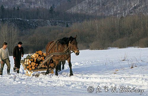 Zwózka drewna, Bieszczady