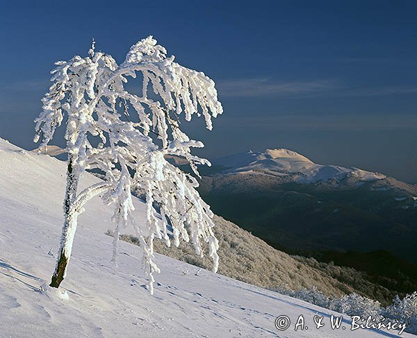 Na połoninie Caryńskiej, Bieszczady, Bieszczadzki Park Narodowy
