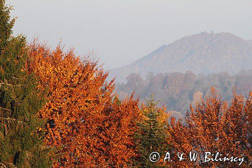 jesienny pejzaż, Bieszczady