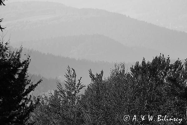 Widok na pasmo żuków z Jaworników, Bieszczady