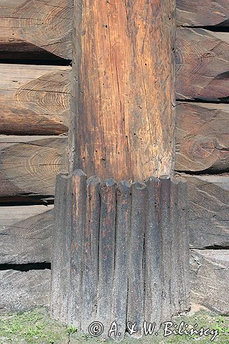 Biskupin muzeum archeologiczne gród