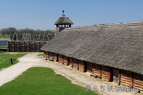 Biskupin muzeum archeologiczne gród