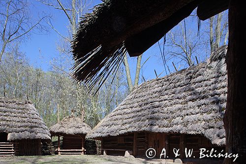 Biskupin muzeum archeologiczne gród