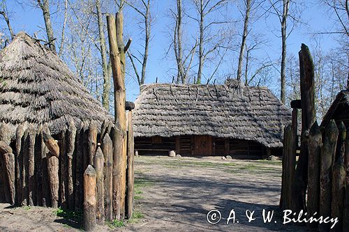 Biskupin muzeum archeologiczne gród
