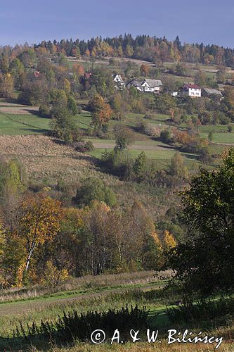 wieś żarnówka, Beskid Makowski
