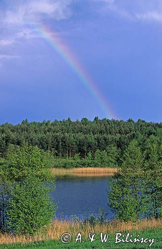 Jezioro Czarne w Borach Tucholskich