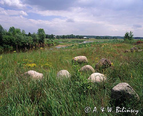 Park Krajobrazowy Podlaski Przełom Bugu, głazy narzutowe, w Zabużu