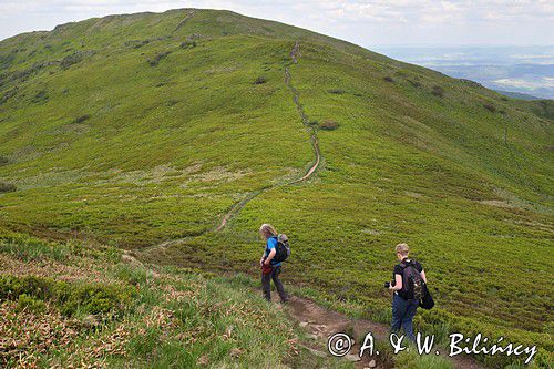 na szlaku na Bukowym Berdzie, Bieszczady