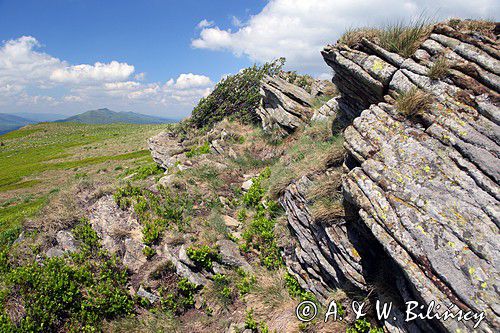 Bukowe Berdo, Bieszczady