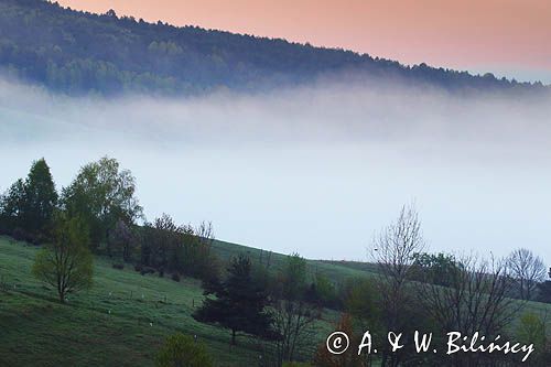 Bystre, mgły o wschodzie słońca, Bieszczady