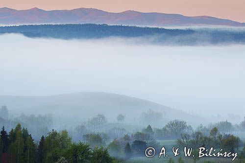 Bystre, mgły o wschodzie słońca, Bieszczady