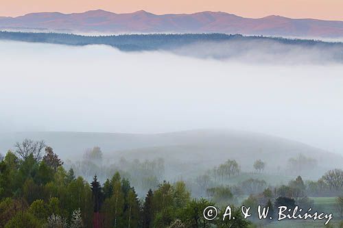 Bystre, mgły o wschodzie słońca, Bieszczady
