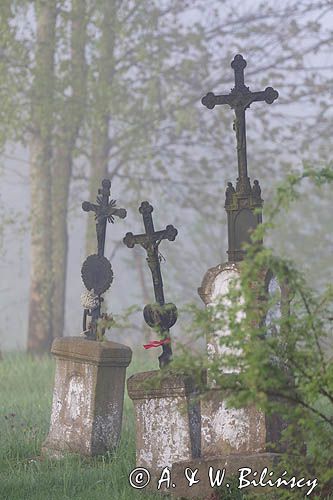 Bystre, stary cmentarz, Bieszczady