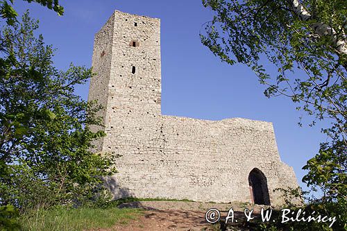 Chęciny, ruiny zamku królewskiego