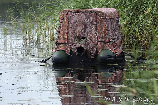 Czatownia na pontonie, fotografia przyrodnicza