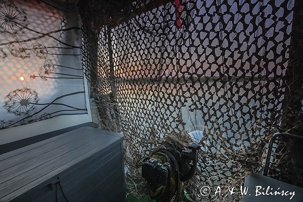 Czatownia na weekendzie 820, fotografia przyrodnicza