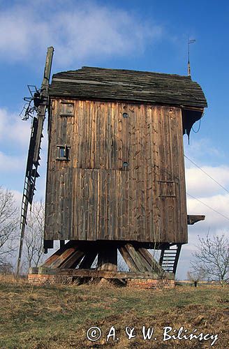 Drewniany wiatrak typu 'koźlak' z 1718 r. Jest to unikatowy wiatrak przemiałowy z bryłą dachu na kształt odwróconej łodzi i nawisem nad galeryjką ze schodami. żuławy