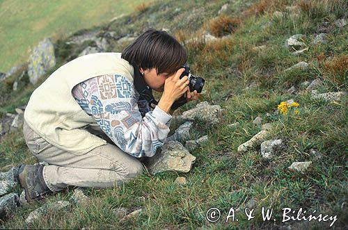 fotograf przyrody