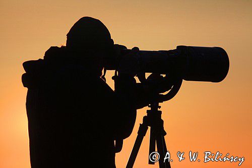 fotograf przyrody z teleobiektywem na statywie