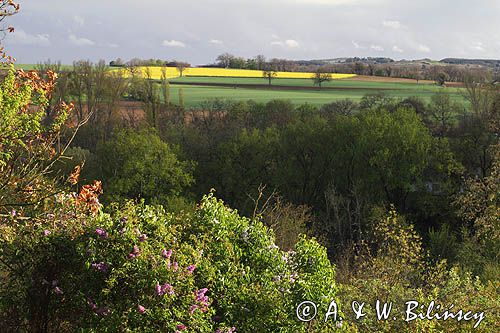 widok z Valence sur Baise, Gaskonia, Francja