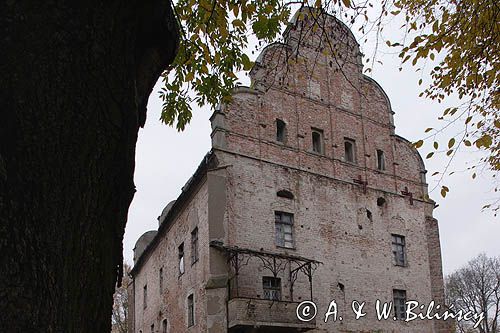 Giżycko, ruiny zamku