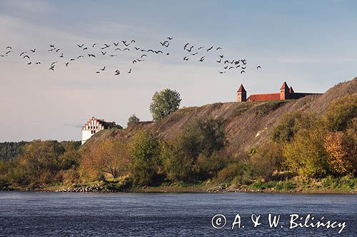 rzeka Wisła, Gniew na skarpie wiślanej