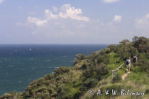 klif, wyspa Hiddensee, w głębi wyspa Rugia, Mecklenburg-Vorpommern, Bałtyk, Niemcy