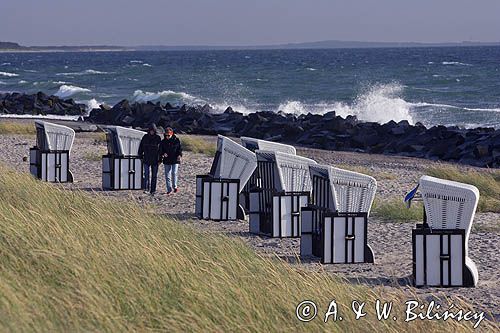na plaży, wyspa Hiddensee, Mecklenburg-Vorpommern, Bałtyk, Niemcy
