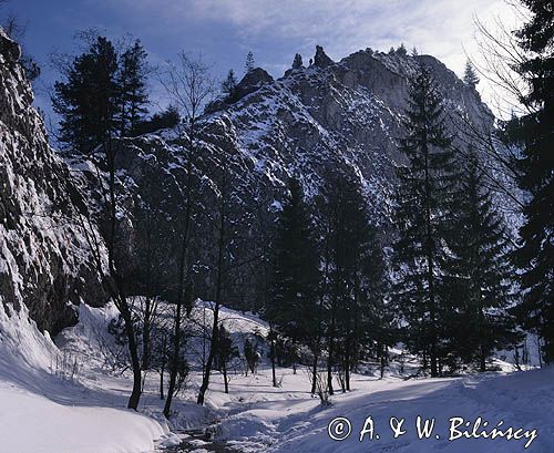 Małe Pieniny rezerwat Wąwóz Homole