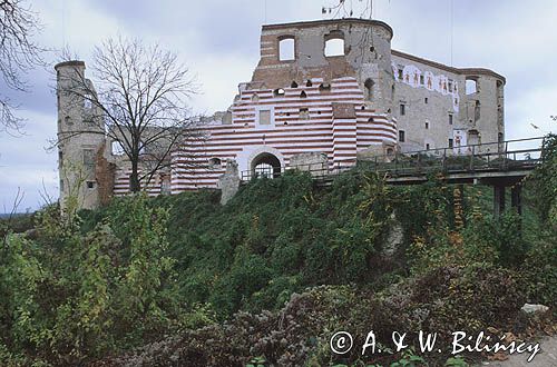 Janowiec, zamek, ruiny