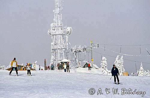 Jaworzyna Krynicka