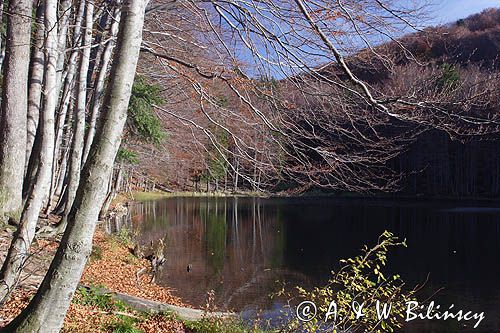 Jeziorko Duszatyńskie rezerwat Zwiezło Ciśniańsko-Wetliński Park Krajobrazowy Bieszczady