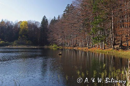 Jeziorko Duszatyńskie rezerwat Zwiezło Ciśniańsko-Wetliński Park Krajobrazowy Bieszczady