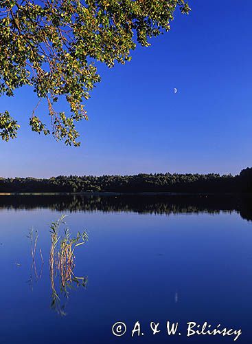 Mazury, Jezioro Świętajno inaczej Narty