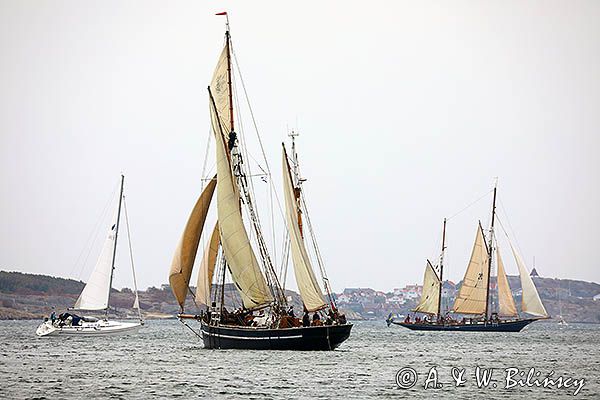 żaglowce przy wyspie Kallo Knippla, Szwecja Zachodnia, Kattegat